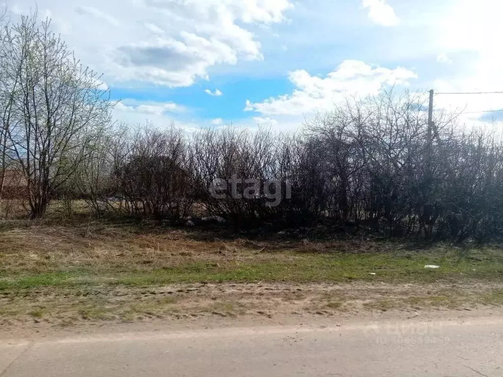 Участок в Нижегородская область, Богородский муниципальный округ, д. ... - Фото 1