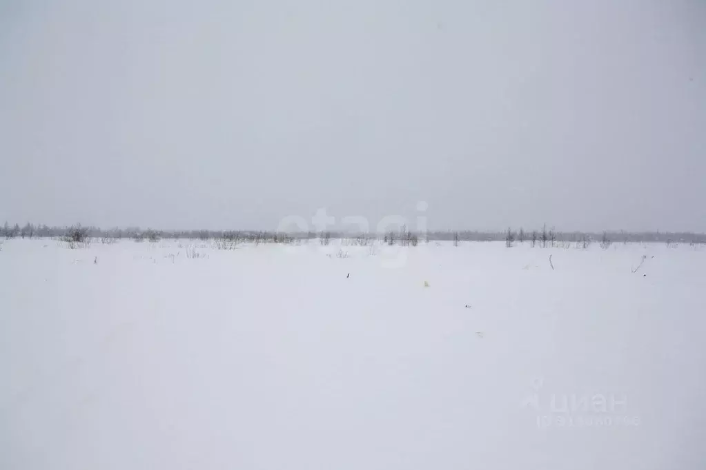 Участок в Ямало-Ненецкий АО, Новый Уренгой  (6.0 сот.) - Фото 1