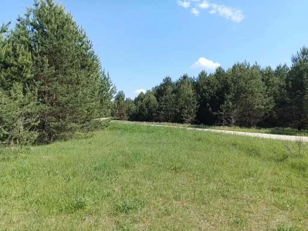 Участок в Калужская область, Перемышльский район, Большие Козлы с/пос, ... - Фото 2