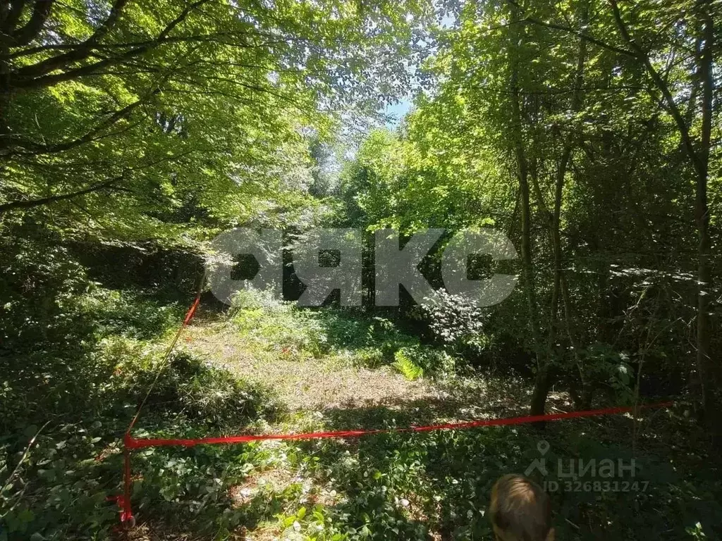 Участок в Краснодарский край, Сочи городской округ, с. Пластунка, ... - Фото 2