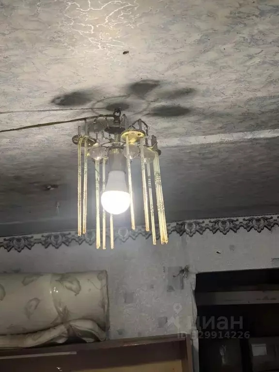 Помещение свободного назначения в Краснодарский край, Краснодар пос. ... - Фото 0