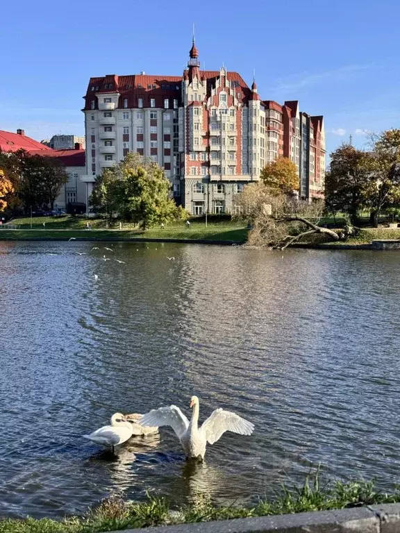 3-к кв. Калининградская область, Калининград Клиническая ул., 19А ... - Фото 2