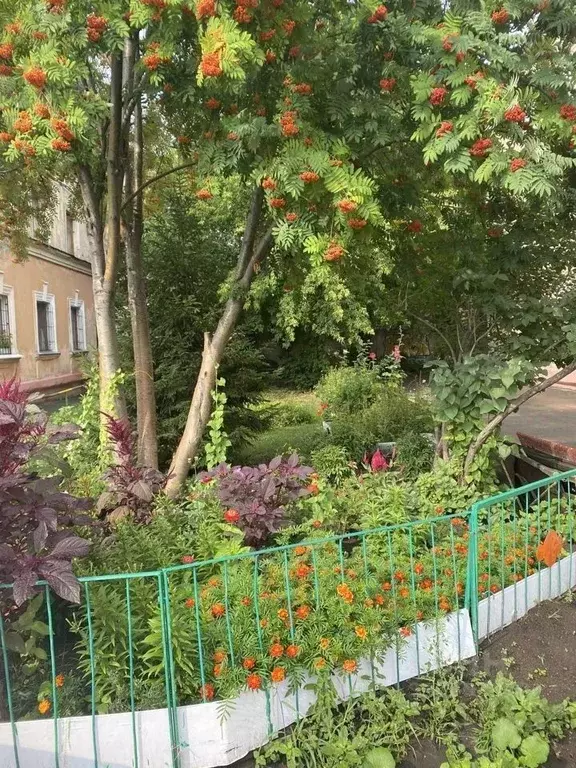 2-к кв. Омская область, Омск ул. 20 лет РККА, 1к2 (40.0 м) - Фото 1