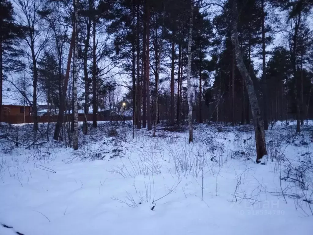 Участок в Ленинградская область, Шлиссельбург Кировский район, ... - Фото 1