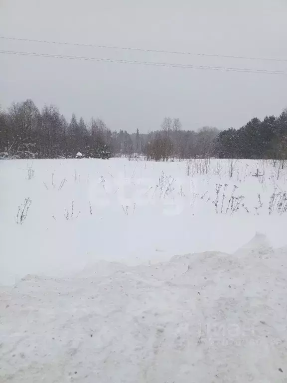 Участок в Вологодская область, Вашкинский муниципальный округ, с. ... - Фото 1