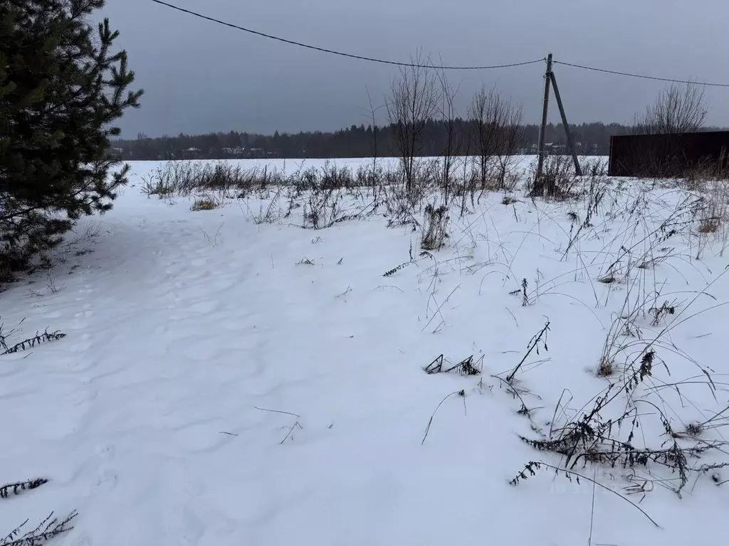 Участок в Московская область, Пушкинский городской округ, д. Никулино  ... - Фото 1