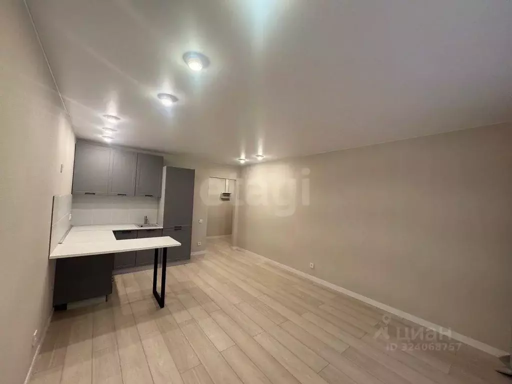 Студия Челябинская область, Челябинск ул. Профессора Благих, 65 (29.0 ... - Фото 2