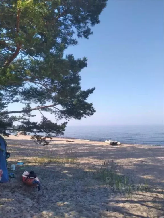 Участок в Ленинградская область, Приозерский район, Ларионовское ... - Фото 1