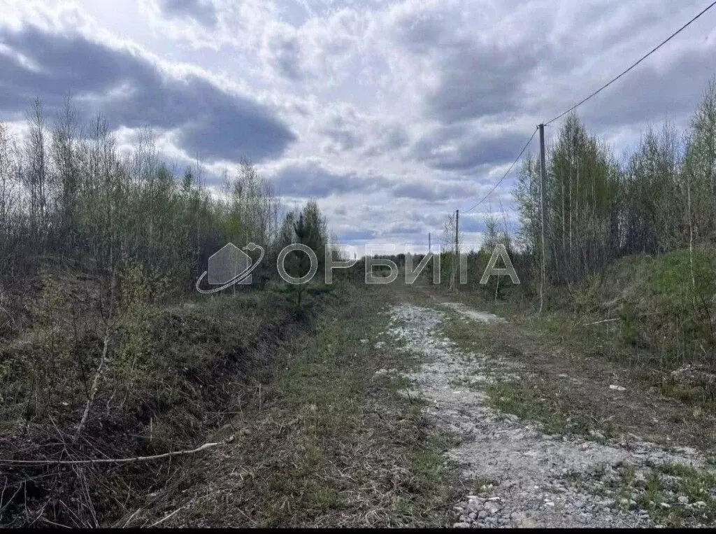 Участок в Тюменская область, Нижнетавдинский муниципальный округ, д. ... - Фото 1
