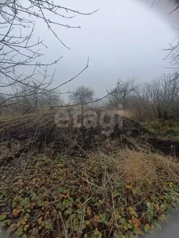 Участок в Белгородская область, с. Богородицкое ул. Центральная (13.0 ... - Фото 2