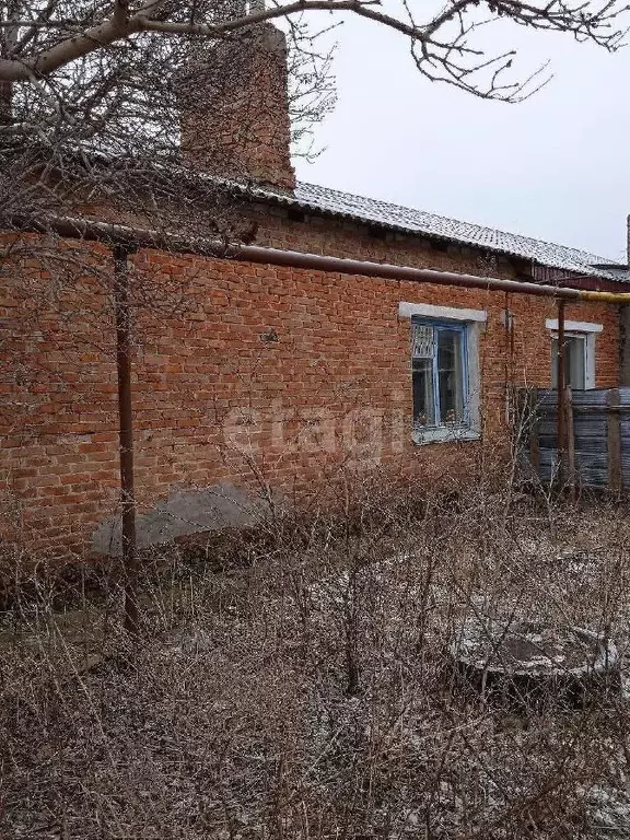 Дом в Белгородская область, Новооскольский городской округ, с. ... - Фото 1