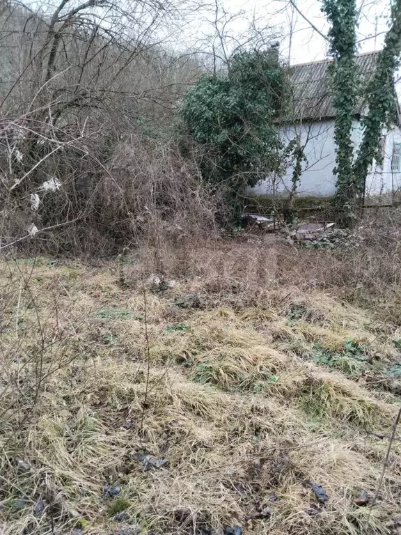 Участок в Краснодарский край, Геленджик городской округ, с. ... - Фото 2