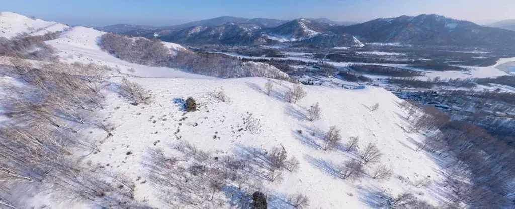 Участок в Алтайский край, Алтайский район, Айский сельсовет, с. Ая  ... - Фото 2