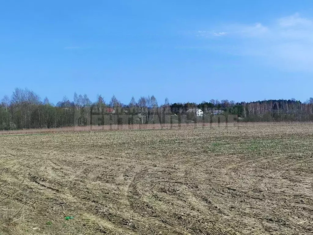 Участок в Смоленская область, Смоленский муниципальный округ, с. ... - Фото 0