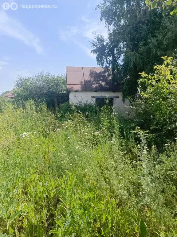 Участок в Оренбург, СТ Лесные Дачи (6 м) - Фото 1