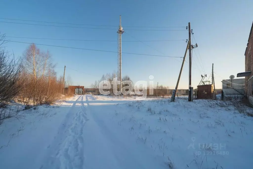 Участок в Пермский край, Добрянский городской округ, с. Сенькино ул. ... - Фото 1