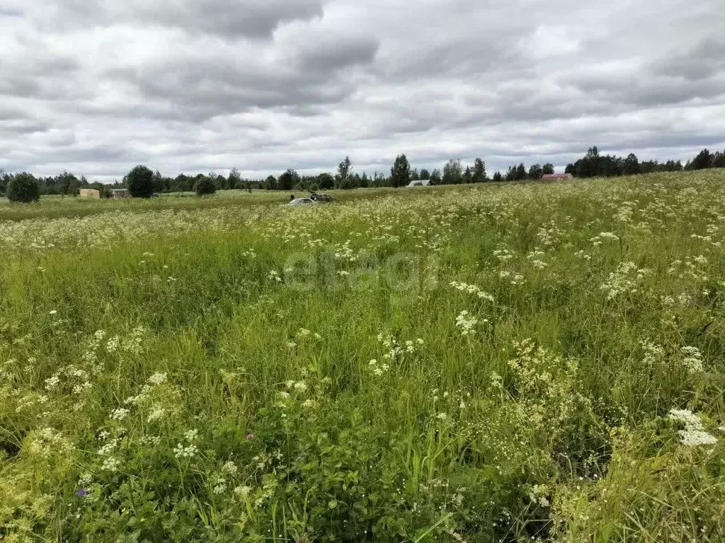 Участок в Вологодская область, Череповецкий район, с. Абаканово  ... - Фото 1