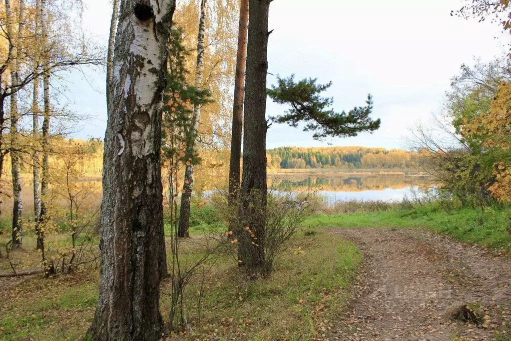 Участок в Московская область, Дмитровский городской округ, с. ... - Фото 1