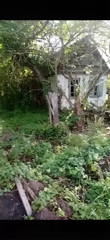 Участок в Краснодарский край, Лабинский район, Упорная ст-ца ... - Фото 1