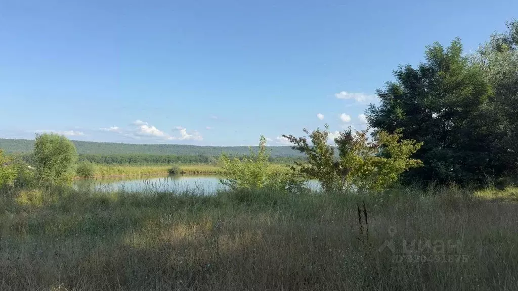 Участок в Адыгея, Майкопский район, Даховское с/пос  (10000.0 сот.) - Фото 1