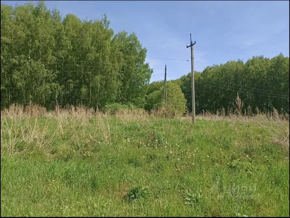 Участок в Владимирская область, Александровский район, Следневское ... - Фото 0
