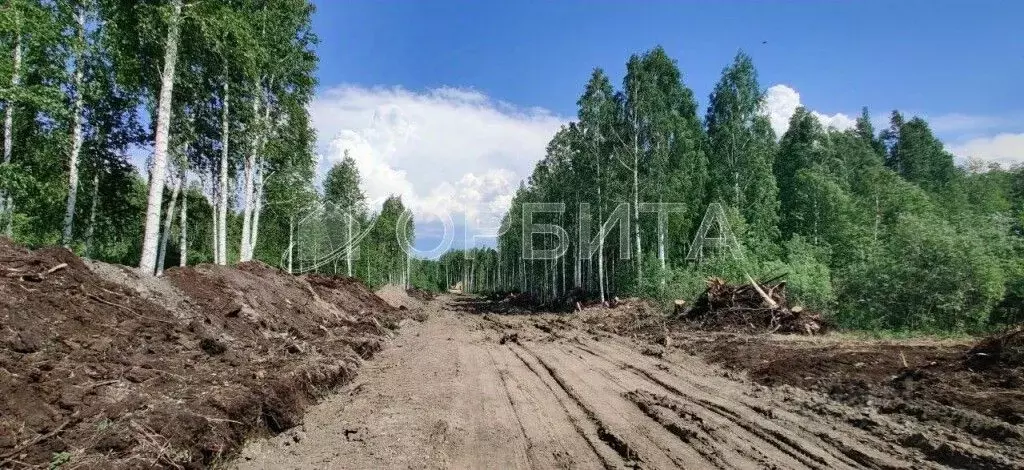 Участок в Тюменская область, Тюменский район, д. Решетникова  (7.0 ... - Фото 0