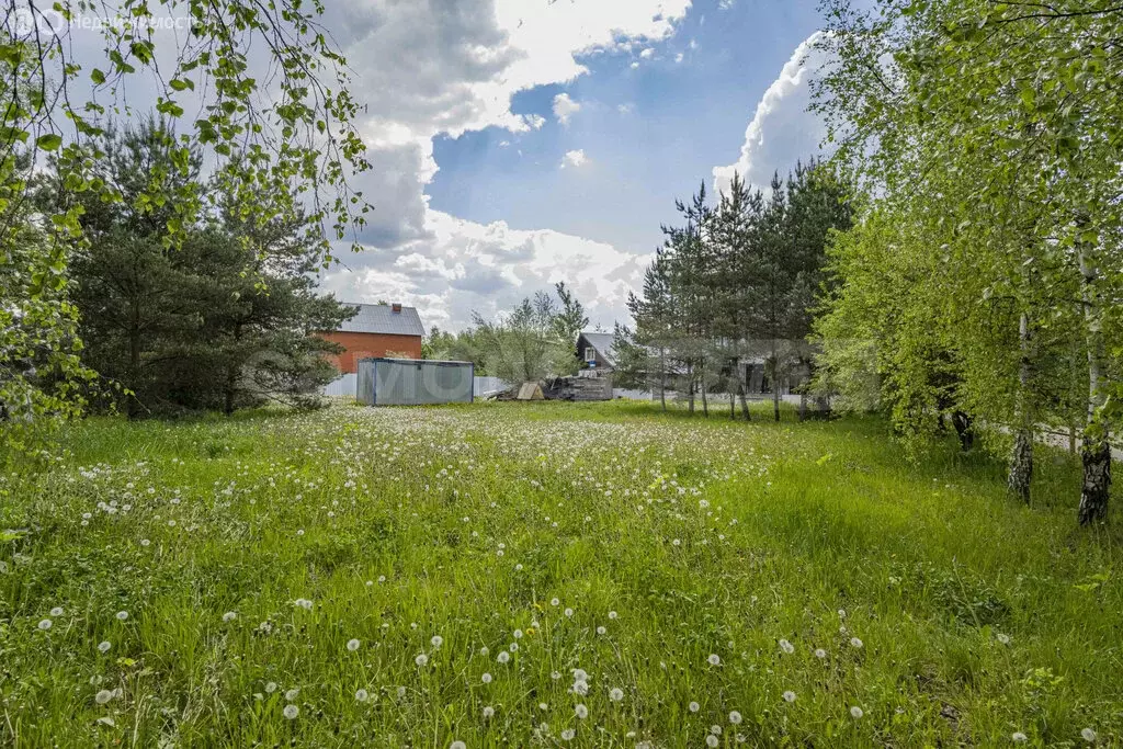 Участок в Бородки, Тихая улица, 29 (7.35 м) - Фото 0
