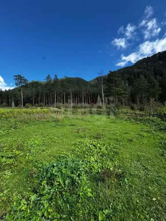 Участок в Алтай, Чемальский район, пос. Усть-Сема ул. Трактовая, 41 ... - Фото 1