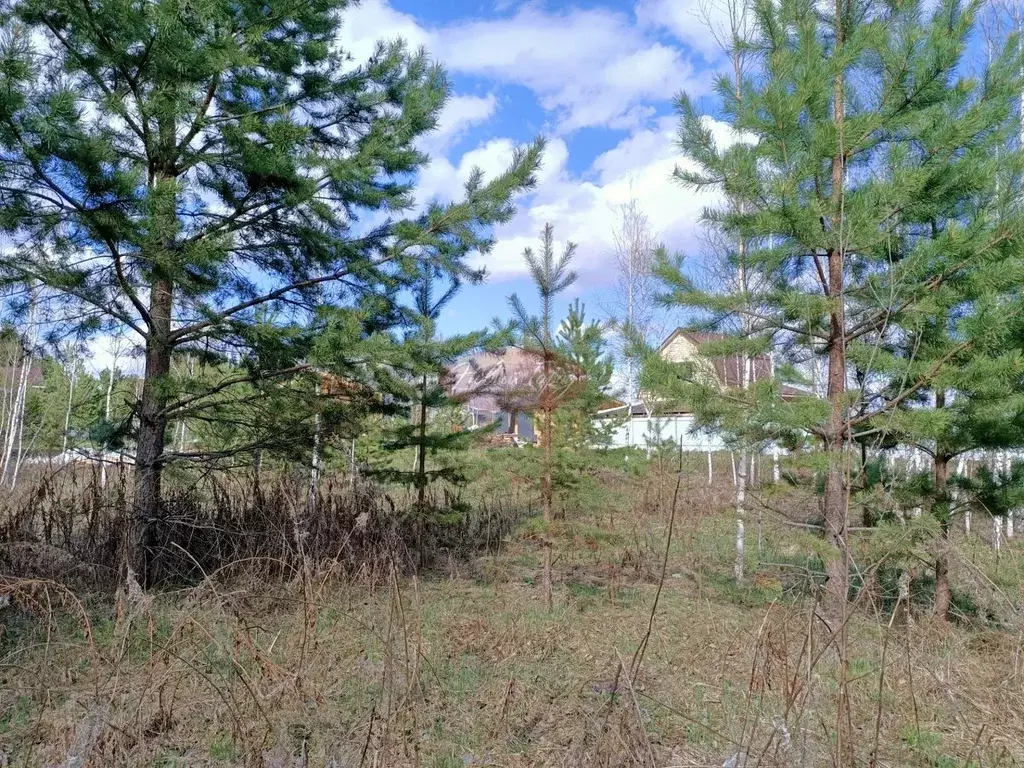 Участок в Тюменская область, Тюменский район, с. Перевалово Трактовая ... - Фото 2