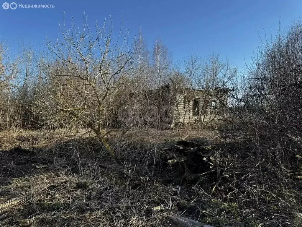 Участок в село Артюшкино, Советская улица (31.4 м) - Фото 1