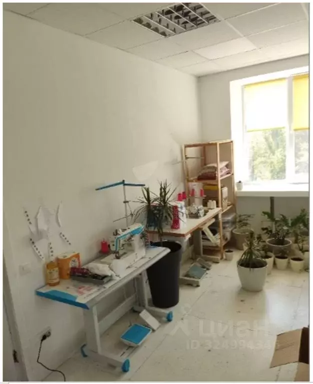 Помещение свободного назначения в Крым, Керчь ул. Кирова, 22 (67 м) - Фото 2