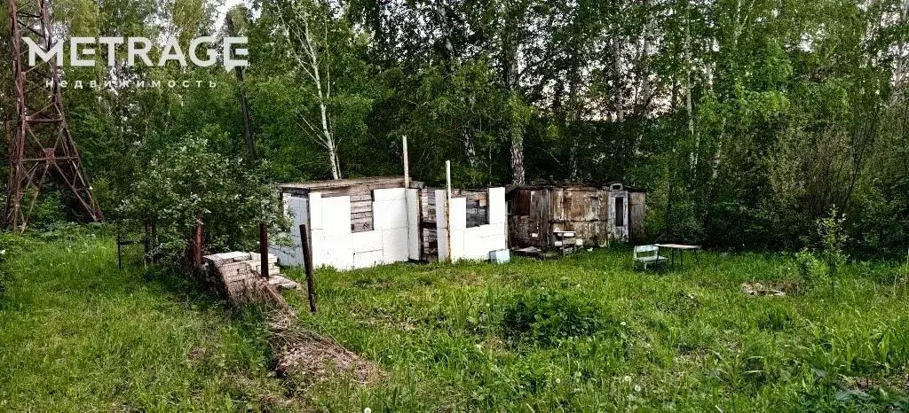 Участок в Новосибирская область, Мошковский район, Овощевод СНТ  (10.0 ... - Фото 1