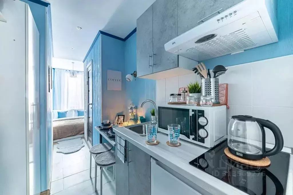 Студия Московская область, Мытищи городской округ, д. Грибки ул. ... - Фото 1