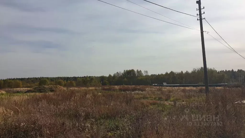 Участок в Московская область, Сергиево-Посадский городской округ, д. ... - Фото 0