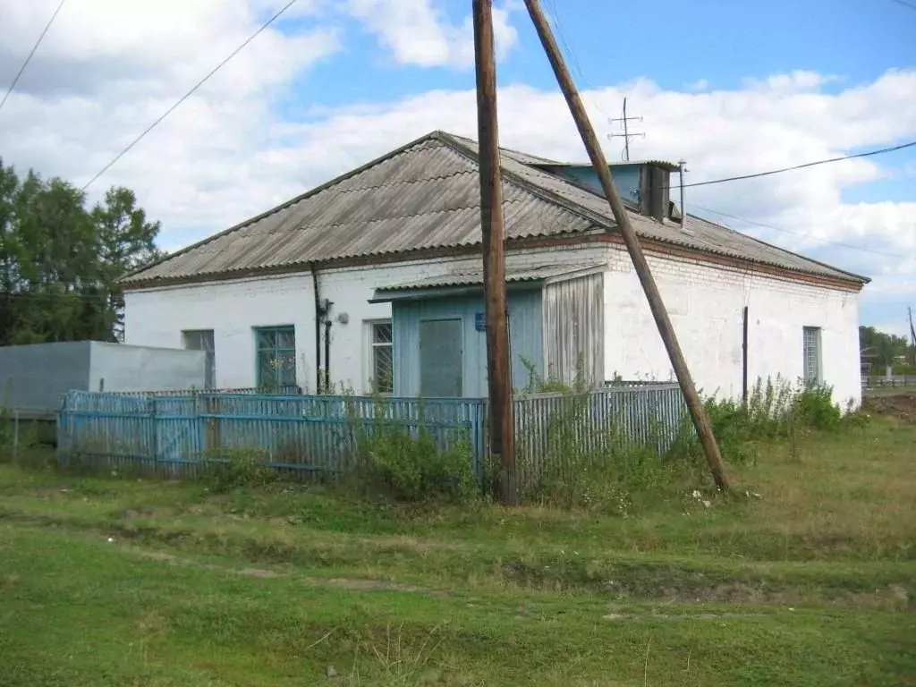 Помещение свободного назначения в Новосибирская область, Чулымский ... - Фото 0