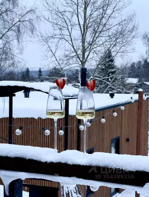 Дом в Ленинградская область, Приозерский район, Сосновское с/пос, ... - Фото 1