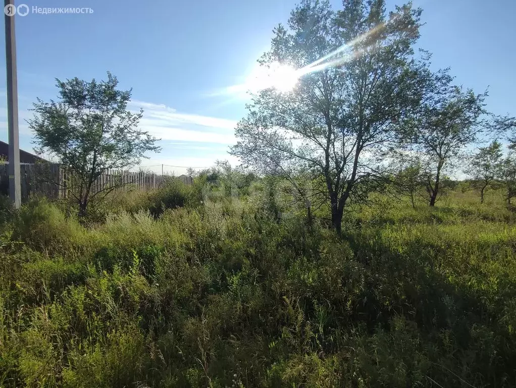 Участок в Черногорск, Берёзовая улица (10 м) - Фото 2