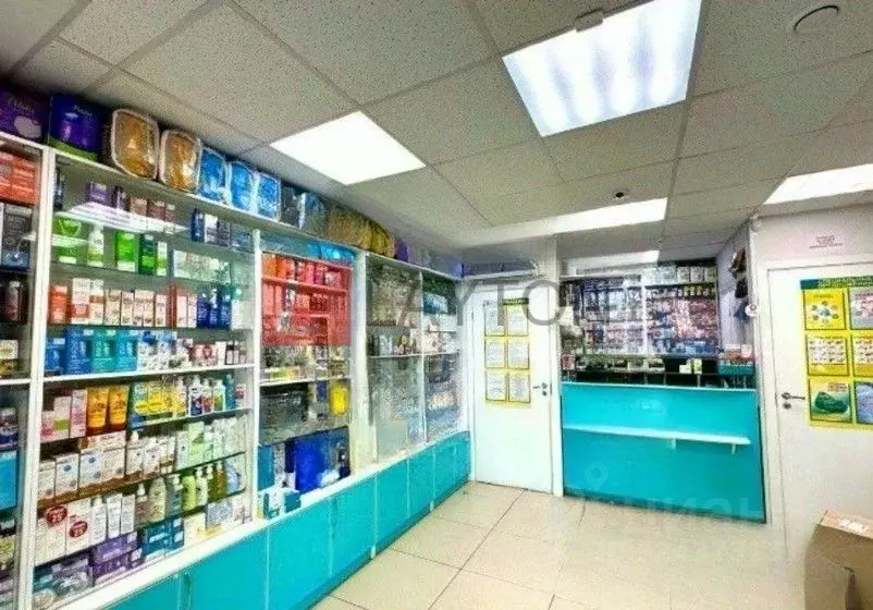 Торговая площадь в Московская область, Домодедово Южный мкр, ул. ... - Фото 1