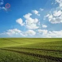 Участок 2,28 га (СНТ, ДНП) - Фото 0