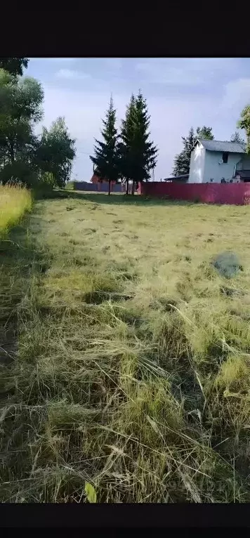 Участок в Московская область, Орехово-Зуевский городской округ, д. ... - Фото 2