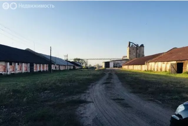 Производственное помещение (27000 м) - Фото 1