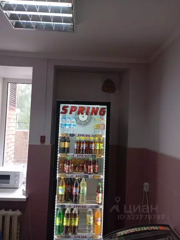 Помещение свободного назначения в Омская область, Омск ул. Куйбышева, ... - Фото 2