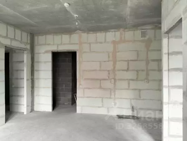 2-к кв. Санкт-Петербург наб. Черной речки, 9 (66.2 м) - Фото 2