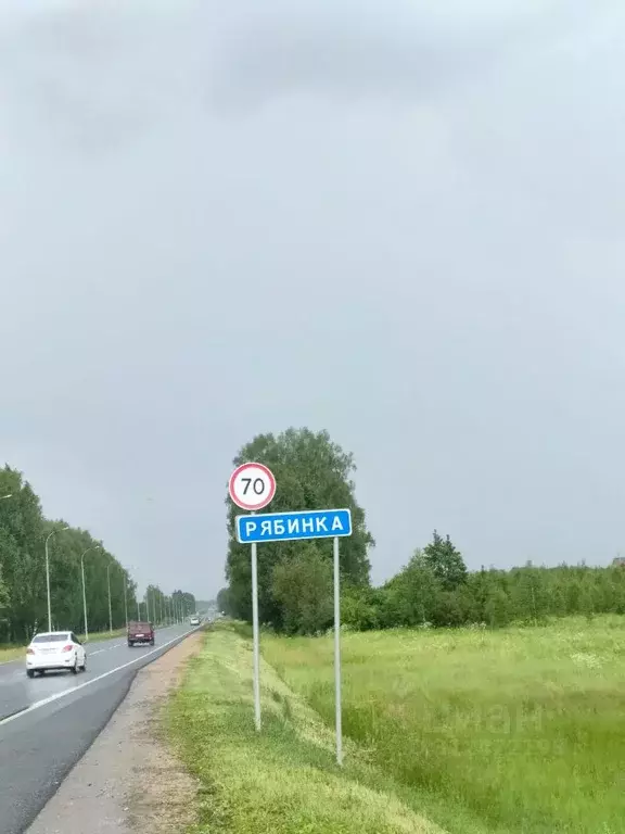 Участок в Марий Эл, Медведевский район, Руэмское с/пос, д. Рябинка  ... - Фото 0