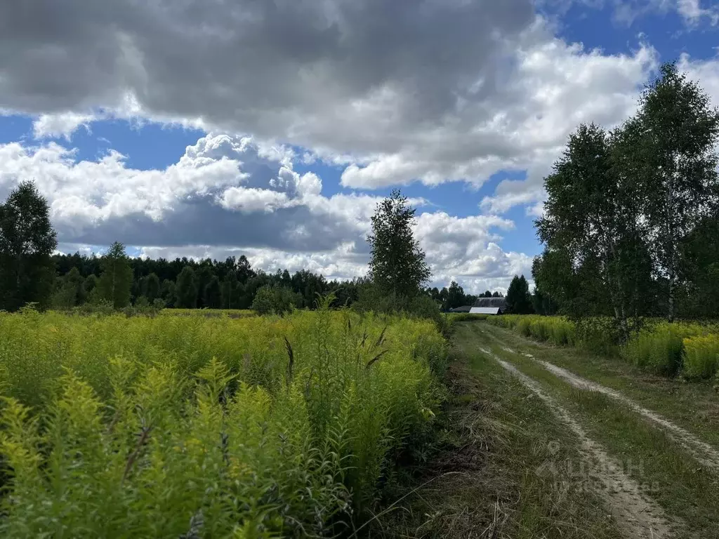 Участок в Нижегородская область, Бор городской округ, д. Макарово  ... - Фото 1