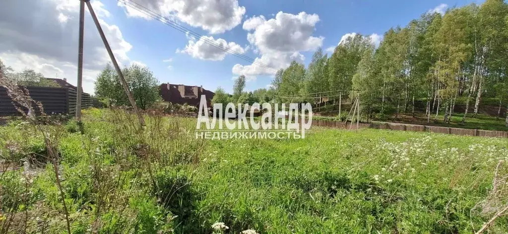 Участок в Ленинградская область, Всеволожский район, Колтушское ... - Фото 2