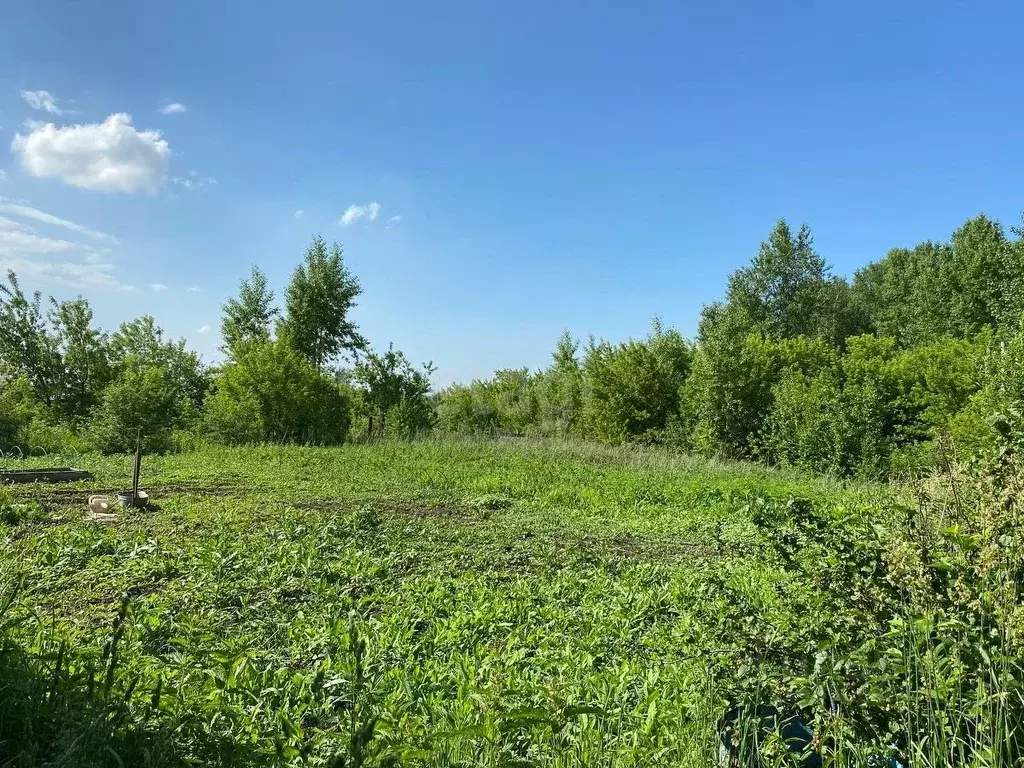 Земельные участки новокузнецкий
