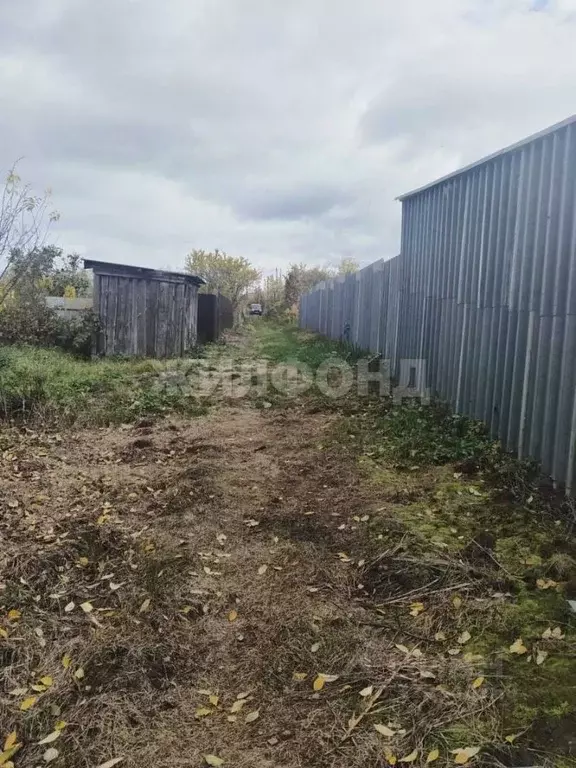 Участок в Брянская область, Брянский район, пос. Мичуринский ул. ... - Фото 2