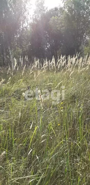 Участок в Калужская область, Перемышль с/пос, д. Поляна  (14.0 сот.) - Фото 2