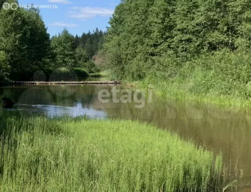 Участок в Тамбовский муниципальный округ, СТ Победа (1352.51 м) - Фото 1